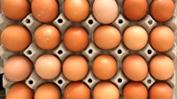 Smijete li jesti jaja kojima je istekao rok trajanja? Evo što kaže stručnjak