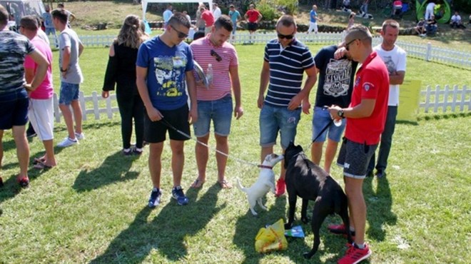 Organizira se radna manifestacija pasa u Grudama, pozivaju se lovci i ljubitelji pasa da sudjeluju
