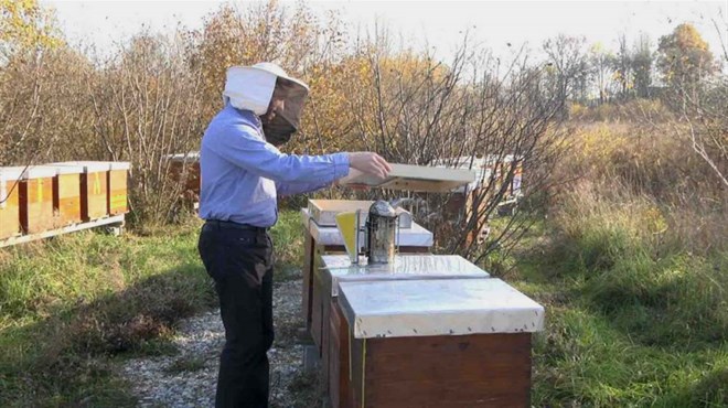Upitan opstanak pčelarstva u Hercegovini