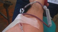 Koalicija Hrvatsko zajedništvo organizira darivanje krvi