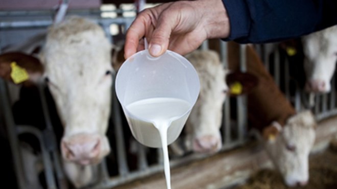 Mlijeko iz uvoza prodaje se kao hrvatsko u kockicama
