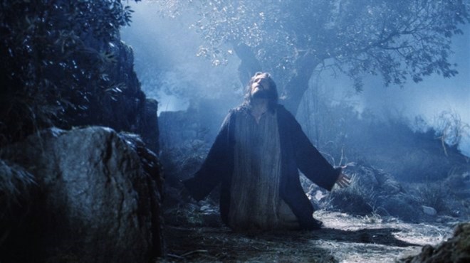 Tri brata Hrvata iz BiH rasprodali sve i kupili Getsemanski vrt u kojem je Juda izdao Isusa