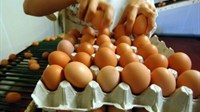 Evo kako prepoznati tvrdo kuhano jaje bez otvaranja