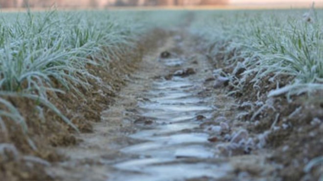Obavijest poljoprivrednicima u ZHŽ-u: Moguć skori mraz, evo kako ublažiti štete!