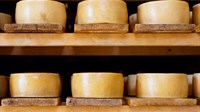 Evo kako zapakirati sir, bez folije