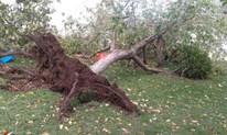 FOTO: Noćašnja oluja uništavala krovove i čupala stabla u Posušju