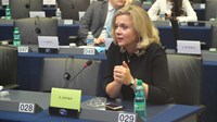 Zovko traži reakciju Europske komisije zbog ugrožavanja slobode vjere u BiH