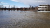 POPLAVLJENA BIH: Kuće pod vodom, u nekoliko općina proglašena izvanredna obrana od poplava