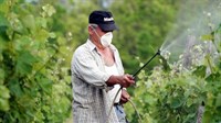 Zavod za poljoprivredu ŽZH: Obavijest vinogradarima
