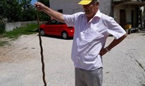 Grudski profesor uređivao lovor višnju, zmija dugačka 140 centimetara nije ga uspjela iznenaditi