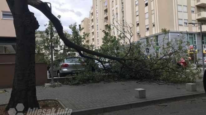 Jak vjetar u Mostaru lomio drveće, oštećeno nekoliko automobila, kaos i u Dalmaciji