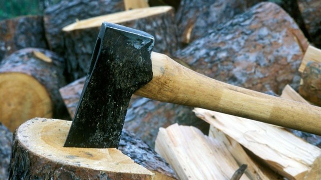 BiH: 40-godišnjaka ubilo stablo dok je pripremao ogrjev