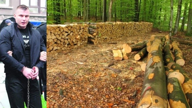 PANIKA: Najopasnijeg bh. kriminalca sarajevski sud pustio da cijepa drva, on pobjegao