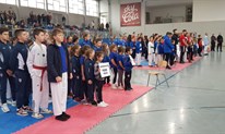 Posuški Poskoci obranili naslov Prvaka Herceg Bosne u Taekwondou FOTO