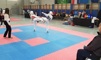 Posuški Poskoci obranili naslov Prvaka Herceg Bosne u Taekwondou FOTO