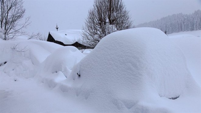 Tomislavgrad: Nakon urušavanja krova zbog snijega uginulo 15 goveda