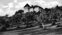 Prodaju se imanje i najpoznatiji dvorac u Hercegovini