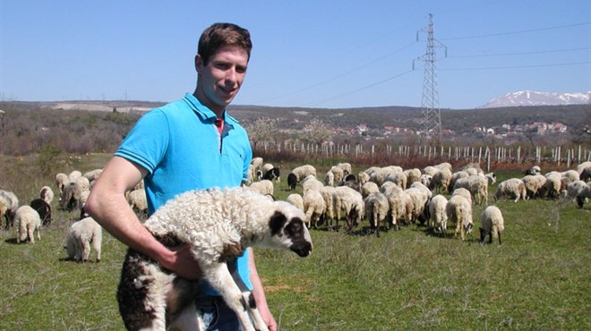 Jakov ima 24 godine: Uzgajam 200 ovaca u Hercegovini i ne mislim u tuđinu