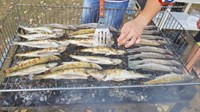 NAJAVA: 4. Fišijada Udruge športskih ribolovaca ''Amur'' Grude
