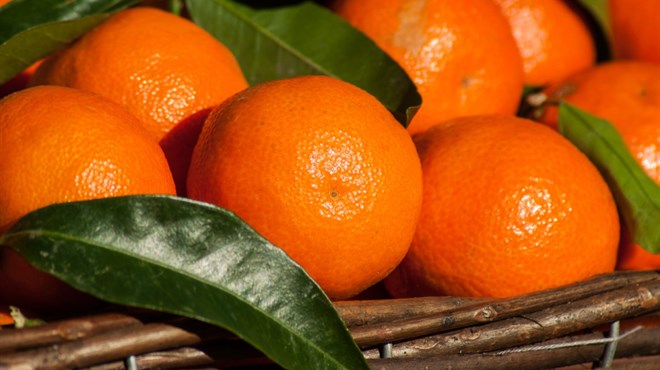 Zbog pesiticida s tržišta se povlače mandarine