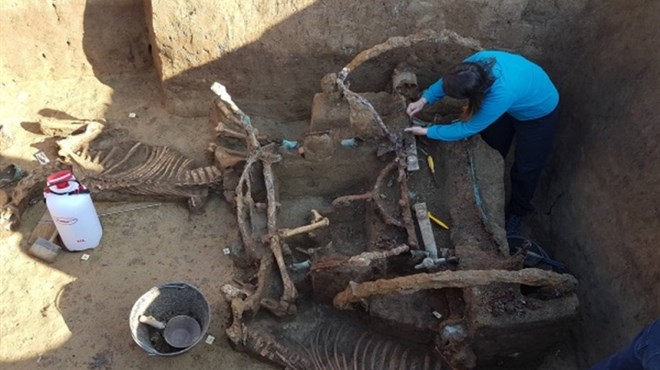 FOTO: Senzacionalno! Kod Vinkovaca pronašli rimska kola na dva kotača s konjima!