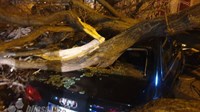 Mostar: Uništeno nekoliko auta, stablo blokiralo Žovnicu