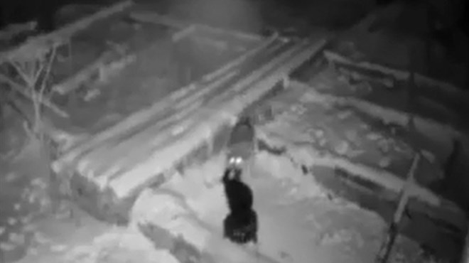VIDEO: Vuk usmrtio pa otrgnuo psa s lanca