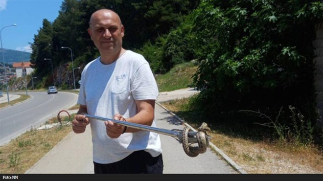 Borba s otrovnicama u Hercegovini: Poskoka uhvatio na balkonu