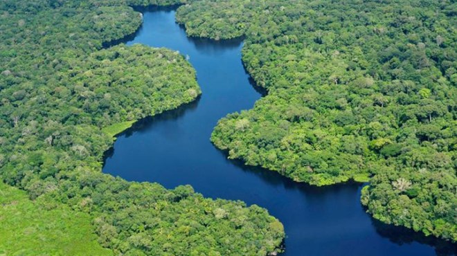 UNIŠTAVAJU SE PLUĆA SVIJETA - Zabilježeno rekordno krčenje šuma u Amazoni