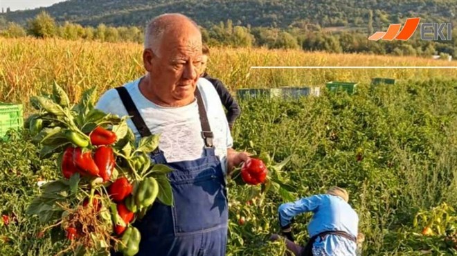 Ivan Tomić iz Gruda: Uspjeh u poljoprivredi pripisujem ljubavi prema onom što radim