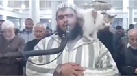 VIDEO: Imama, dok je predvodio molitvu, 'gnjavila' njegova mačka. Strpljivo ju je podnosio