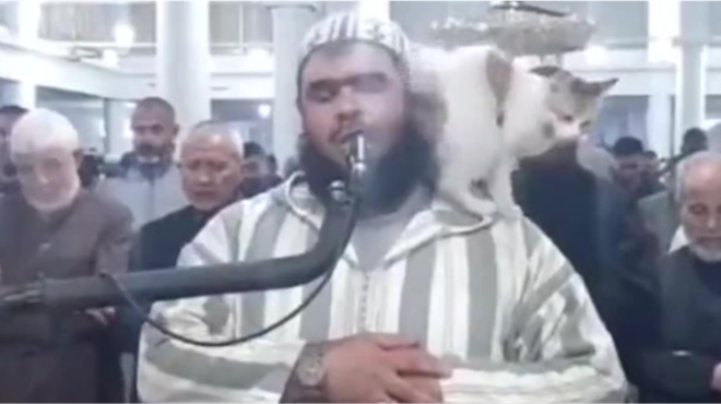 VIDEO: Imama, dok je predvodio molitvu, 'gnjavila' njegova mačka. Strpljivo ju je podnosio