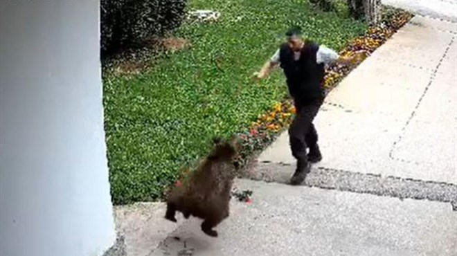 Medvjed napao zaštitara VIDEO