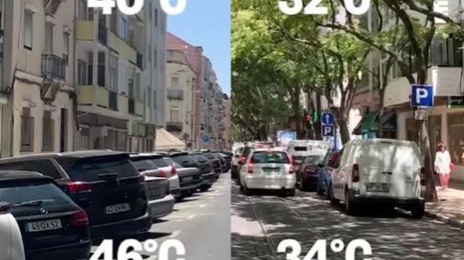 Evo koliko stabla mogu rashladiti ulice tijekom ljeta